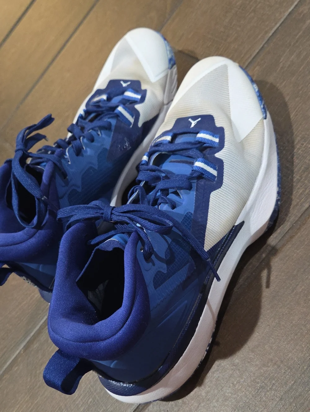 Men's ZION Nike Jordan Shoes